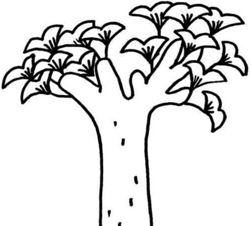 简笔画树的画法