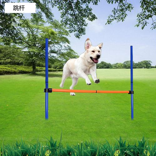 狗狗训练用品敏捷器材宠物户外训练器材三件套单杆跳高跳圈绕桩
