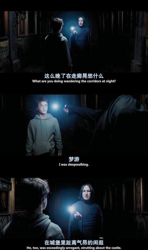 《哈利波特》冷知识,哈迷们你们知道吗?