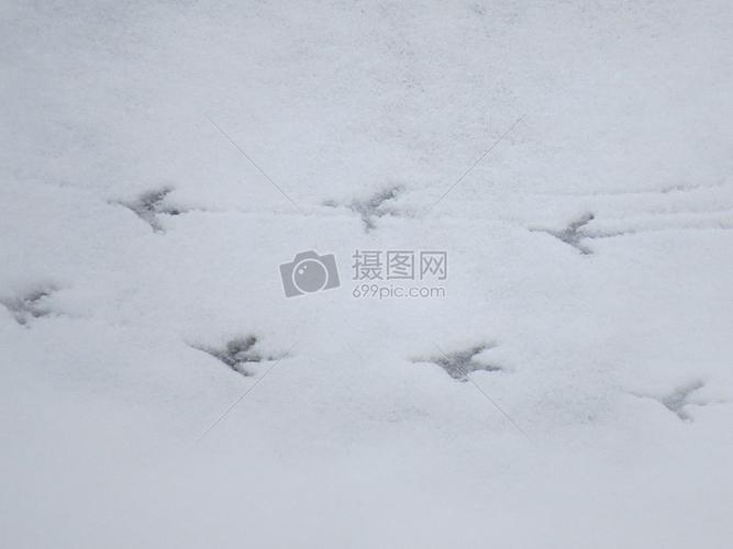 雪地里的足迹摄影图片照片免费下载,正版图片编号464206,搜索图片就来