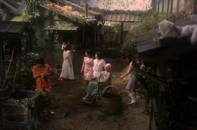 鬼怪屋cc标准收藏版