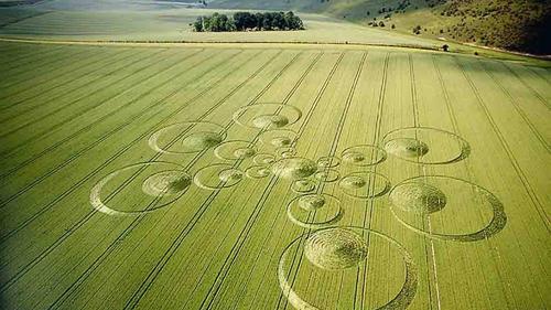 原创千奇百怪的麦田圈