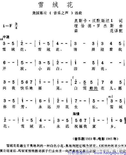 歌手:电影插曲,专辑:流淌的歌声,编者:炫网资讯,歌曲,雪绒花,中文歌词