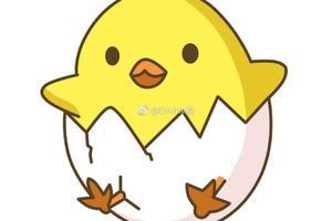 小鸡简笔画步骤图