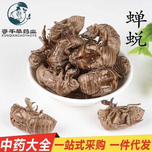 批发现货 蝉蜕 虫退 蝉衣 水洗货 无灌浆 正品统装 寻千草中药材