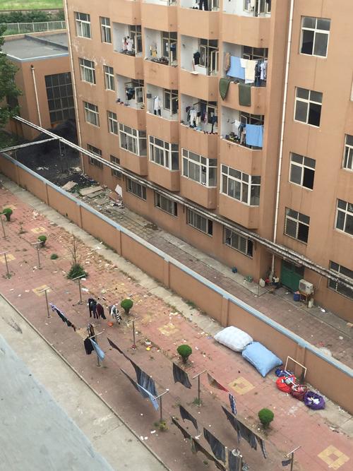 去山东德州职业技术学院好还是去北京八维学校好?