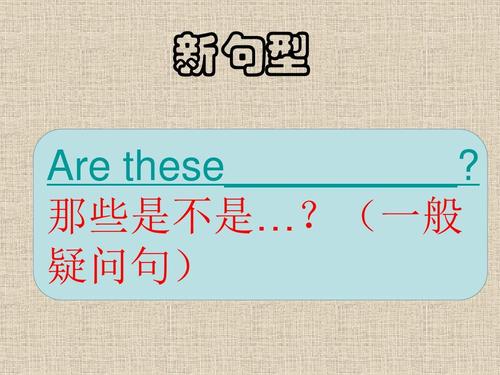 are-these.一般疑问句