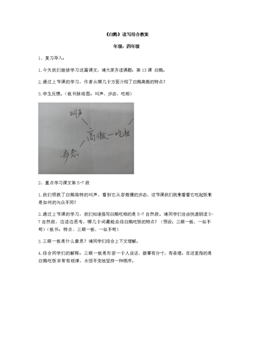 《白鹅》读写结合教案设计.docx