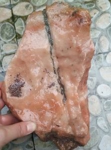 宁强珊瑚玉石粉红蜂窝纹精品化石原石观音石章料雕刻料l