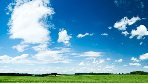 大自然风光高清绿色电脑壁纸自然图片自然风光清新图片唯美图片天空