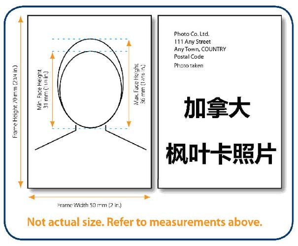 深圳哪里有拍摄加拿大枫叶卡照片的照相馆呢
