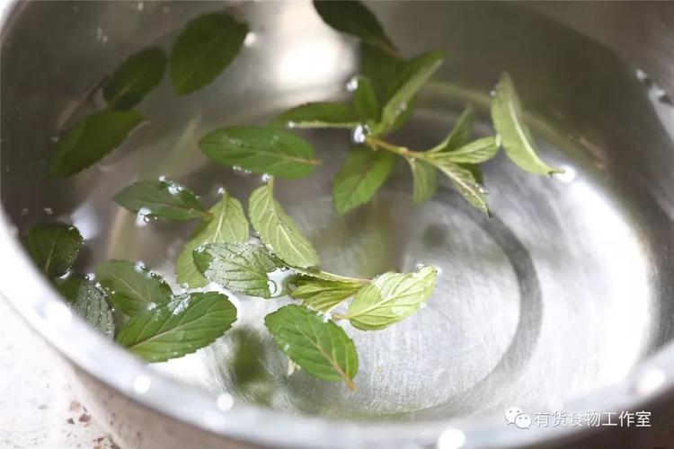 菠萝薄荷水