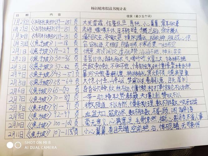 读书摘抄重在日积月累.