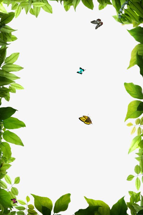 绿色树叶花边边框矢量