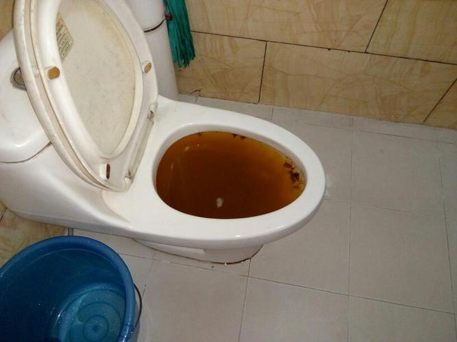 我家厕所被堵了一天了怎么办?请大神帮忙