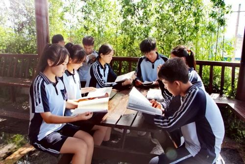 南宁市良庆区琼林学校全面辅导特色德育教育引领学生成长