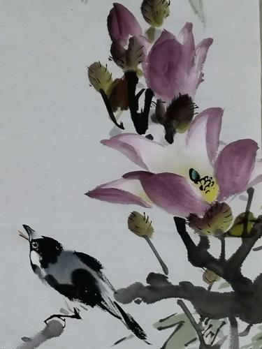 陈铭波老师画辛夷花和芙蓉花——2018年10月31日
