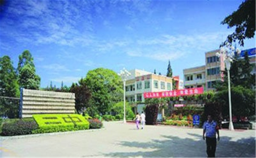 新都二中2020年的录取分数是多少