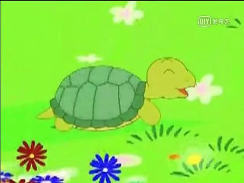 《茉香书会》第十期――《犟龟》