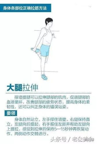 "筋长一寸,寿长十年",八张图,教你拉筋的正确姿势