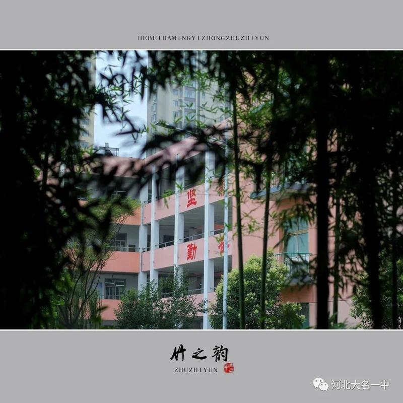 来源:河北大名一中■编辑:薛志朋原标题:《大名一中翠竹记》
