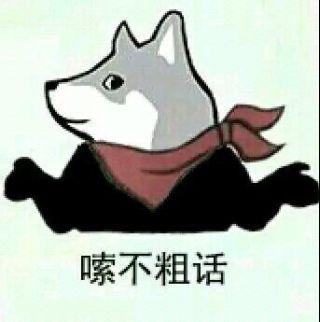 各位pong友求一波quin秦先生的狗头表情包