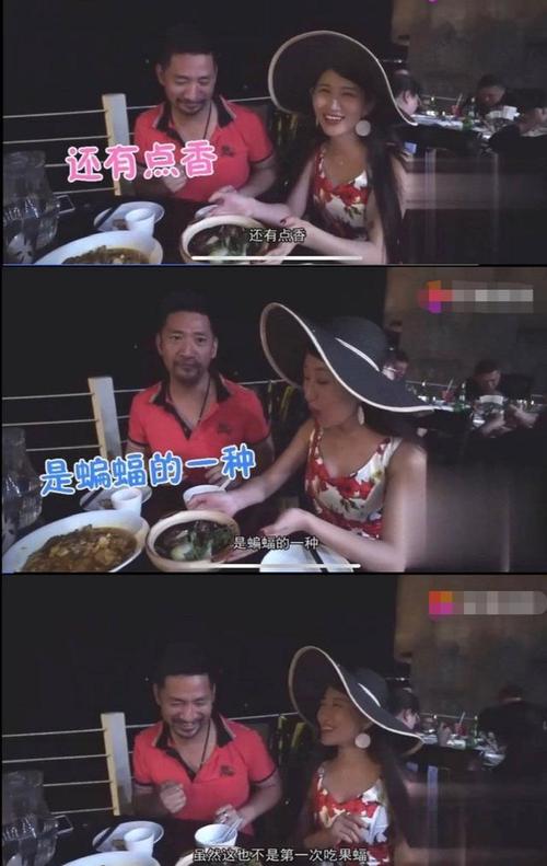 明星吃过蝙蝠:汪梦云道歉,贝爷火烤,明道最冤,金雪炫