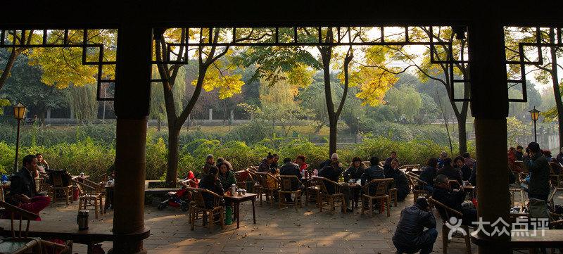 浣花溪公园的点评