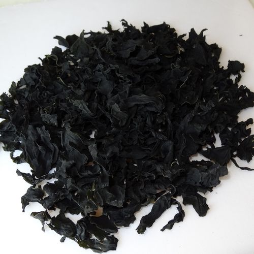 绿色食品海藻裙带菜一件包邮 海木耳螺旋藻 级裙带 a1 出口级海菜