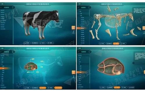 "庖丁解牛"新解:国泰安vr智慧软件之牛解剖