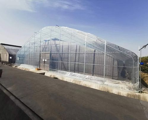 阿克苏连栋玻璃温室工程,阳光板大棚_博农蔬菜温室