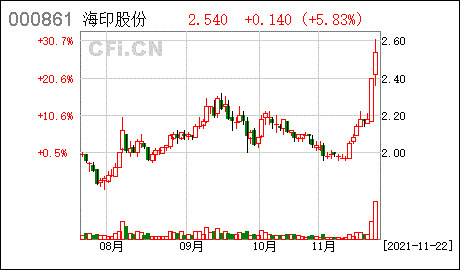 担保海印股份为全资子公司广州少年坊商业市场经营管理有限公司提供