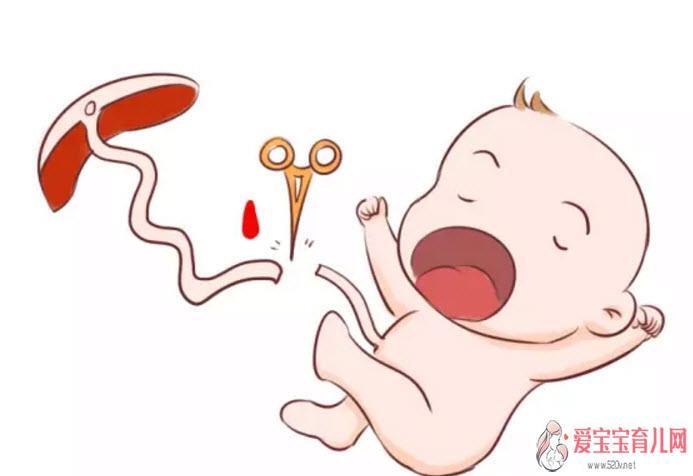 宝宝脐带血有必要保存吗 宝宝的脐带血应该如何处理