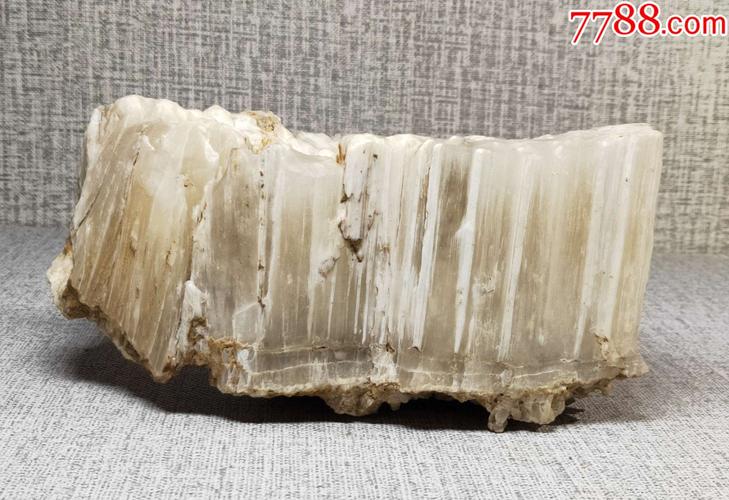 58*5新疆风凌硅化木原石摆件2027克_动植物化石_玉泉