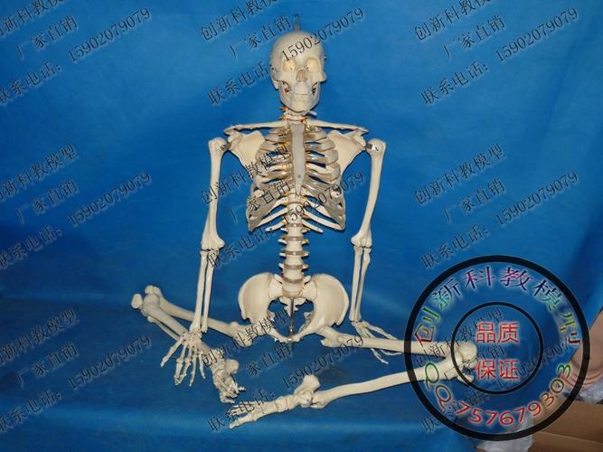 虚拟现实和逆向工程技术实验教程_物联网工程专业系列教材:传感网实验