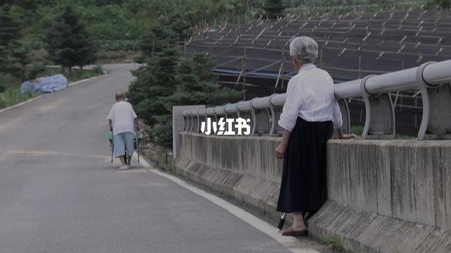 《亲爱的,不要跨过那条江》姜溪烈61赵炳万_狗狗_韩国_电影推荐