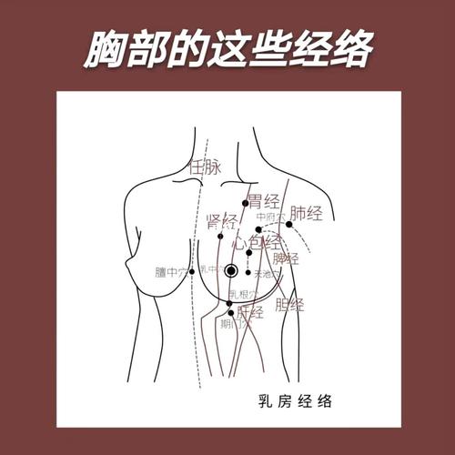 93我们人体中的穴位 共计365个,共有12条经络 其中