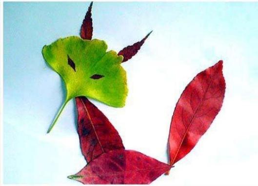 秋叶虽落 美景依在——道口铺学区田庙小学一年级学生"树叶贴画"活动