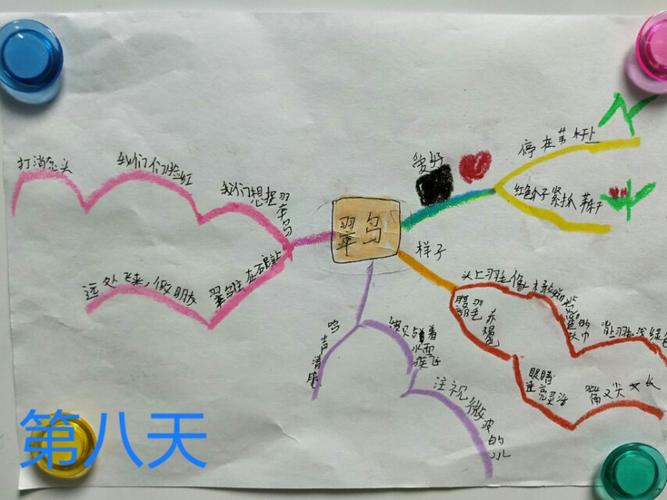 菲菲第一期思维导图学习花絮