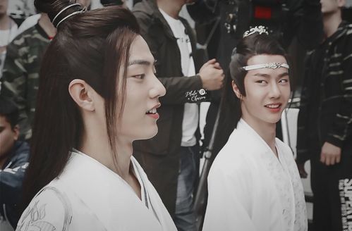 双人 肖战王一博 陈情令