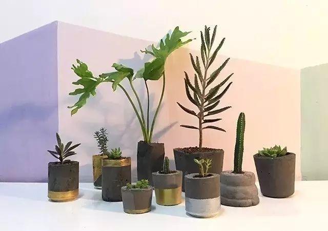 diy水泥花盆,让你的阳台秒变网红咖啡馆