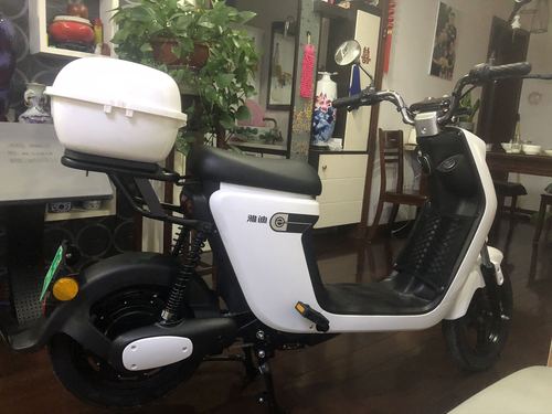 雅迪电动车欧睿 欧致48v新国标电动车锂电池代步电瓶