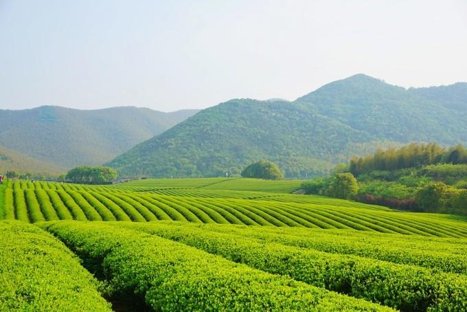龙池山风景区-龙池山自行车公园  