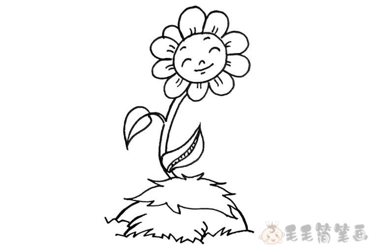 一组写实风格各种花草简笔画图片