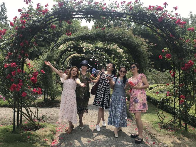 成都温江玫瑰园一日游