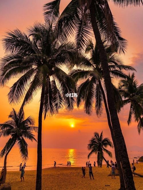 【文昌】东郊椰林_童年_旅行_沙滩_文昌旅游_出行