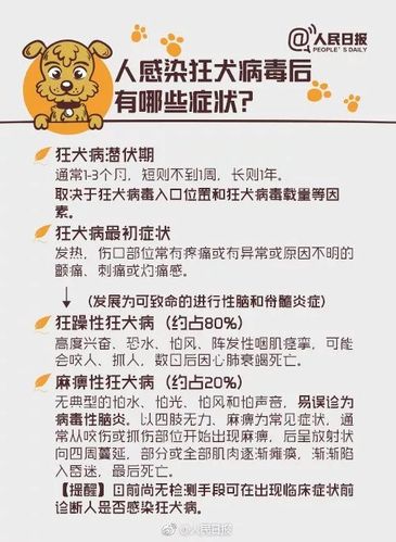 人感染狂犬病后都有哪些症状?