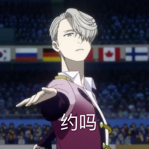 (表情包更新)-爱吃维克托的土豆饼