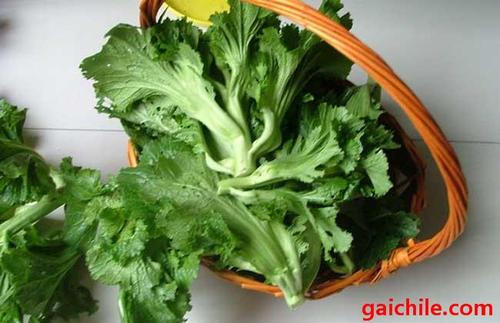 芥菜是什么菜?