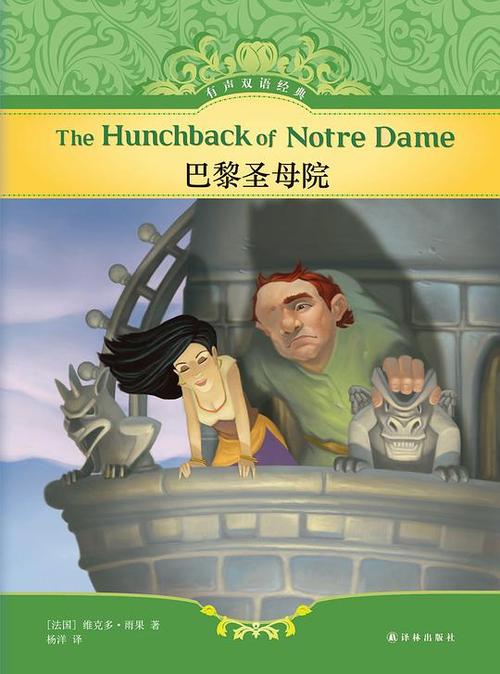 豆瓣: 在哪儿买巴黎圣母院